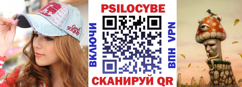 Галлюциногенные грибы Psilocybe  Лысково 